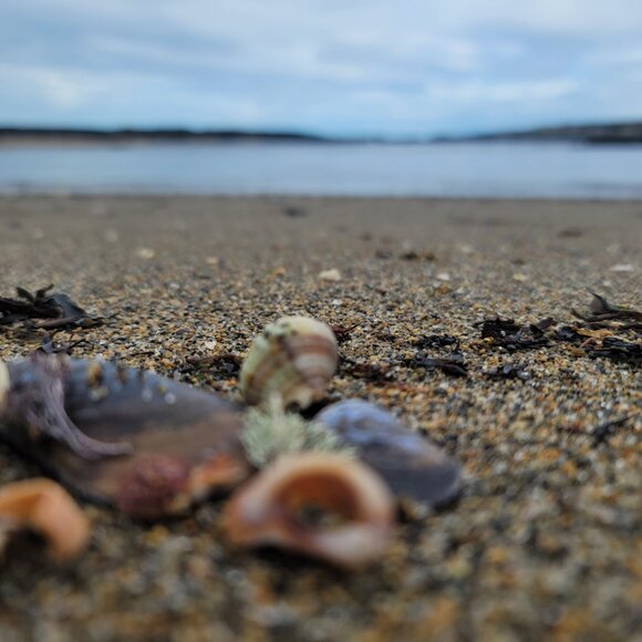 Meet your Posher, Maci - Picture 9 of 11